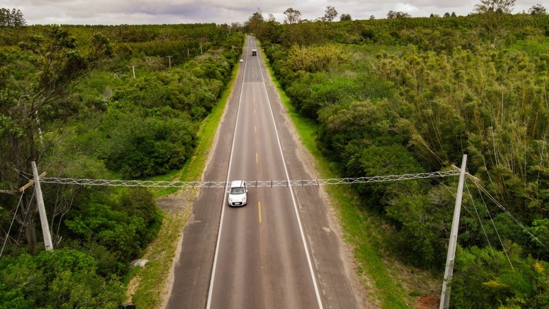 Imagem de uma estrada em meio à mata com um passador aéreo para a travessia segura de animais