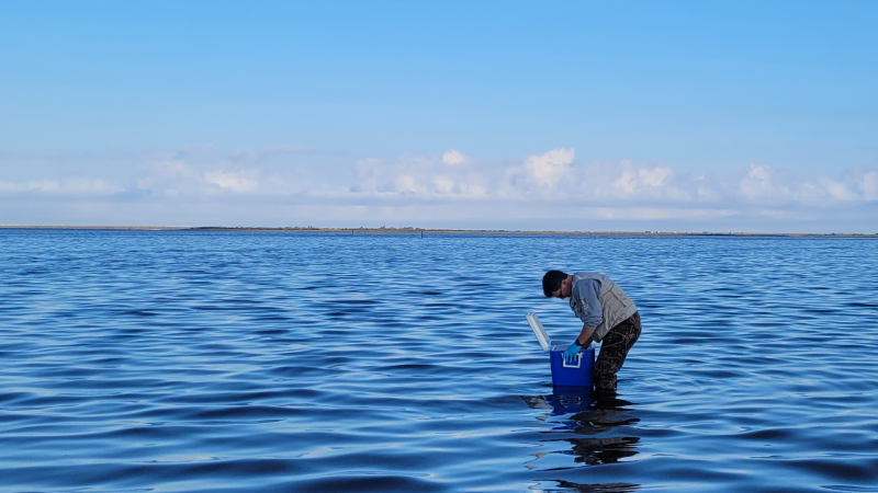 Técnico fazendo coleta de água na Lagoa do Peixe, em Tavares (RS)
