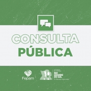 Fepam abre consulta pública