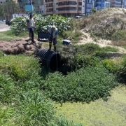 Equipe de fiscalização da Fepam realizou ações ao longo da temporada do Projeto Balneabilidade com o objetivo de monitorar áreas